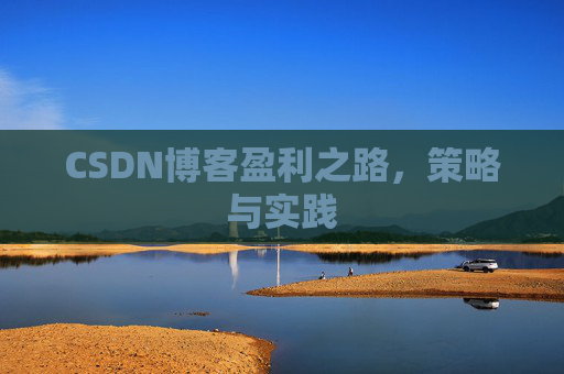 CSDN博客盈利之路，策略与实践